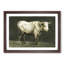 Beauty Of A Bull by Jean Bernard - Single Picture Frame Painting-55543798-55543801