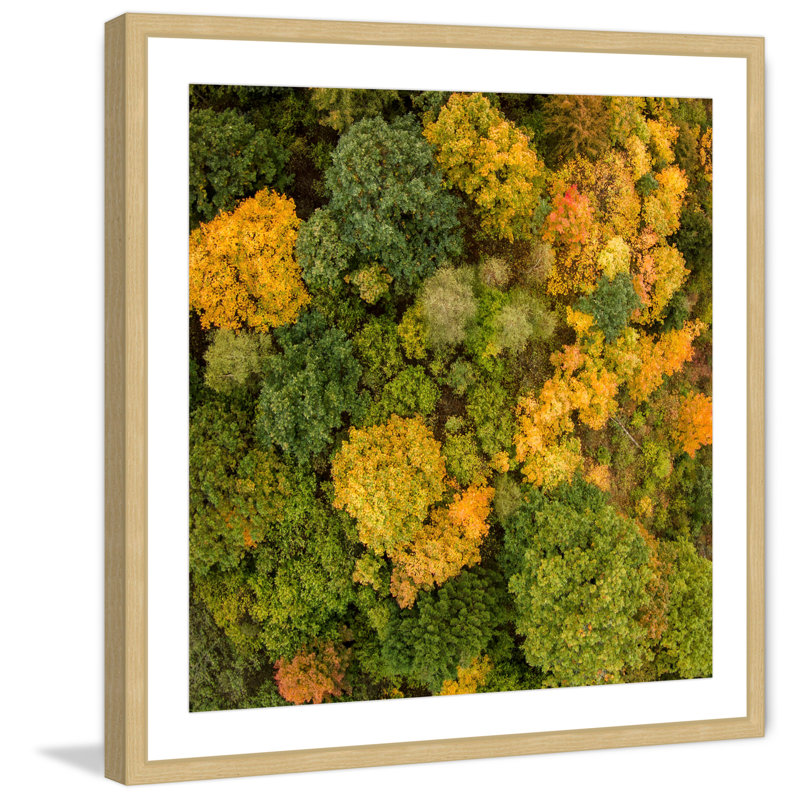 Karolis Janulis - Single Picture Frame Print, 41 cm H x 41 cm W x 3.81 cm D
