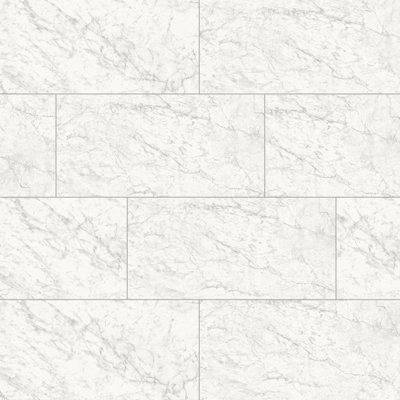 Frost 12X24 Carrara