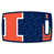 Illinois Fighting Illini