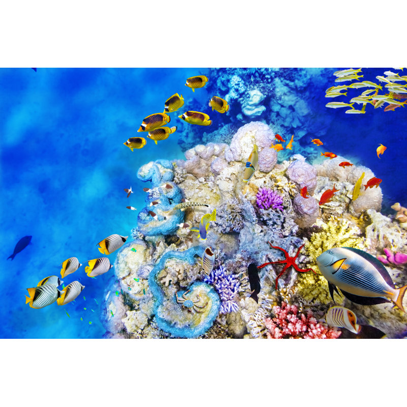 «Underwater World» par Vitalyedush - impression sur toile tendue, L 12 po x H 8 po