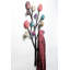 Coat Rack Bubble Tree 6 Hook