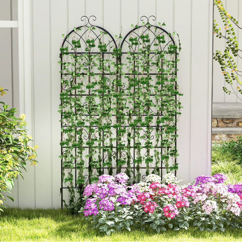 180cm W Metal Arched Trellis, Black