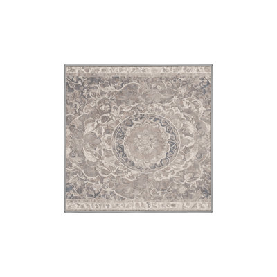 Tapis gris soyeux et moelleux