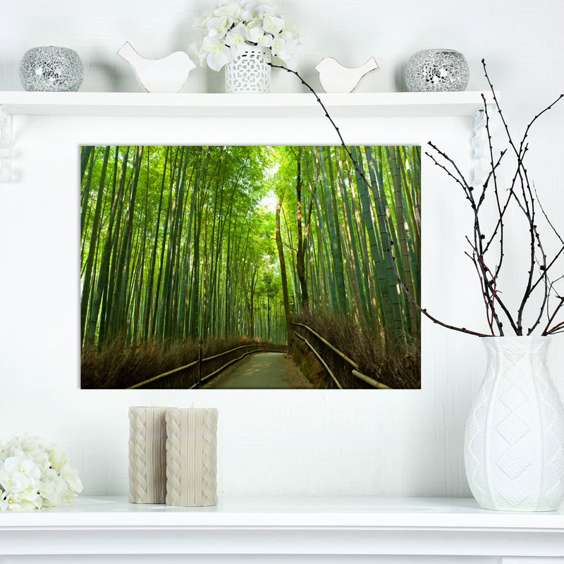 « bambou oliveraies », reproduction de photo sur toile tendue, H 20 po x l 20 po x P 1 po