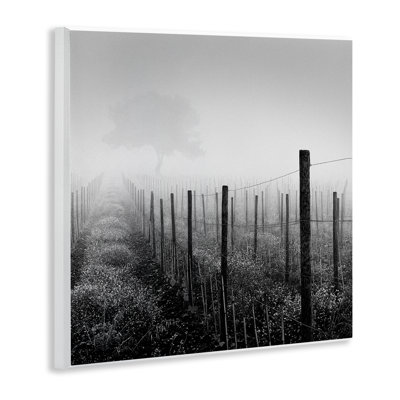 Vineyard at Dawn Wall Plaque Art by Chip Forelli