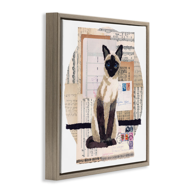 «Siamese Cat Collage» par Nancy Overton, Cadre flottant gris lustré, H 25 po x l 25 po