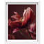 Merlot Blush Blossom II Shadowbox Floral & Botanical Print by Oliver Gal, Black Frame, 16 x 20-244751999-244751997