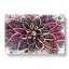 Pink Dahlia Flower In Abstract - Wrapped Canvas-55339638