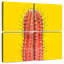 Cactus orange Harnek-109041360