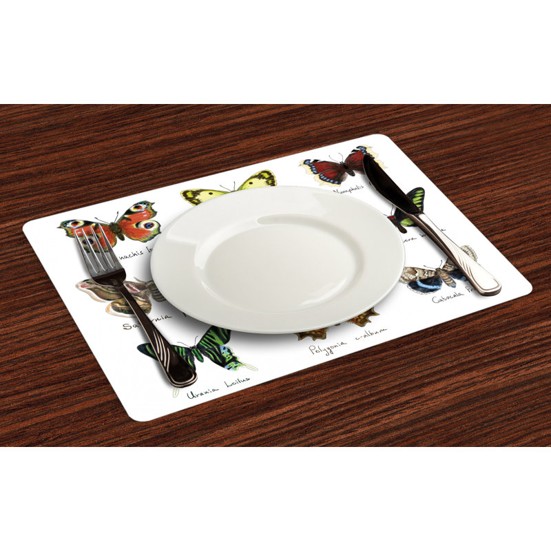 Récapitulatif 18,5" papillon