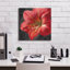 Art mural sur toile  «Vivid Floral 3 C» par Danhui Nai-804448677