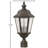 Christiane Outdoor 3-Light Lantern Head