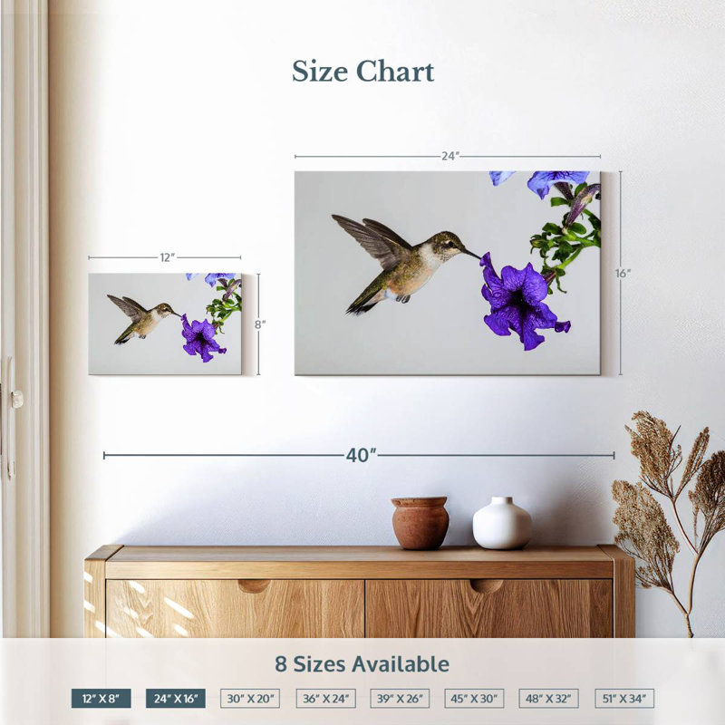 Colibri fleur mauve Brampt, H 16 po x l 24 po