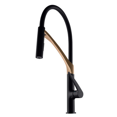 Ivy Bronx Barreau Pull Down Kitchen Faucet
