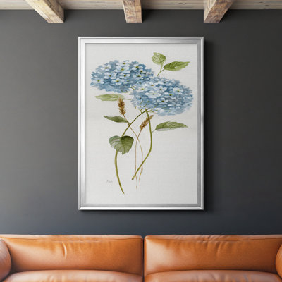 " Petite Blue Hydrangea II "