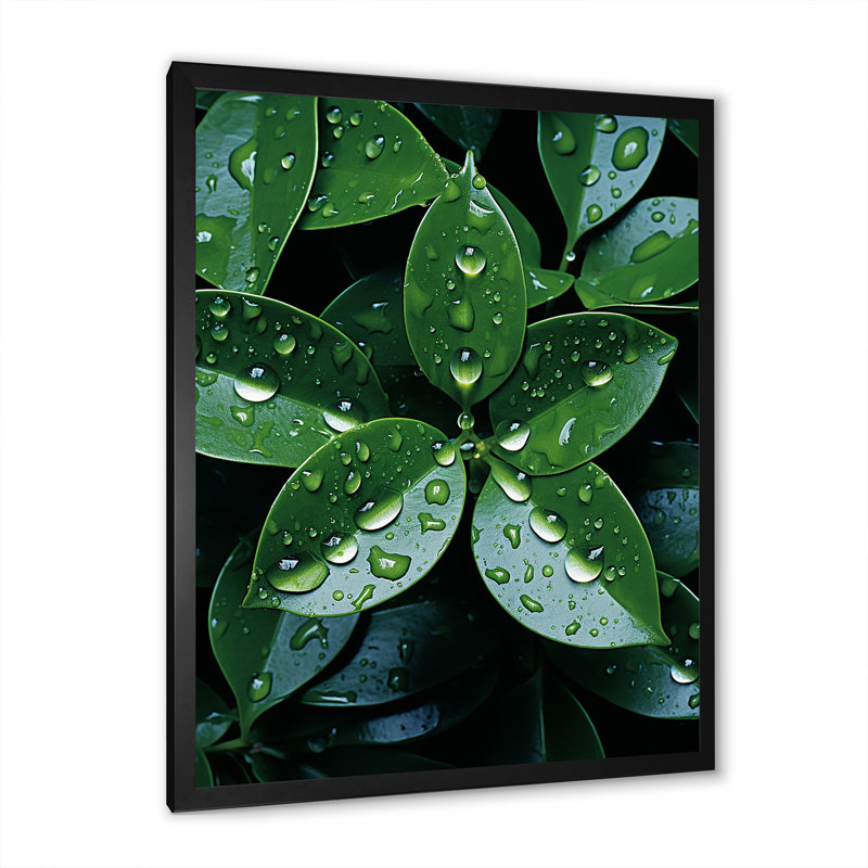 " Botanical Plan Under Rain ", 20" H x 12" W x 1" D, Black Single Picture Framed