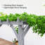 Outsunny 2 x 2 m Wooden Pergola Kit for Climbing Vines, Flowers-126044563