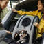 Dahlke Pet Jogger Stroller Carrier
