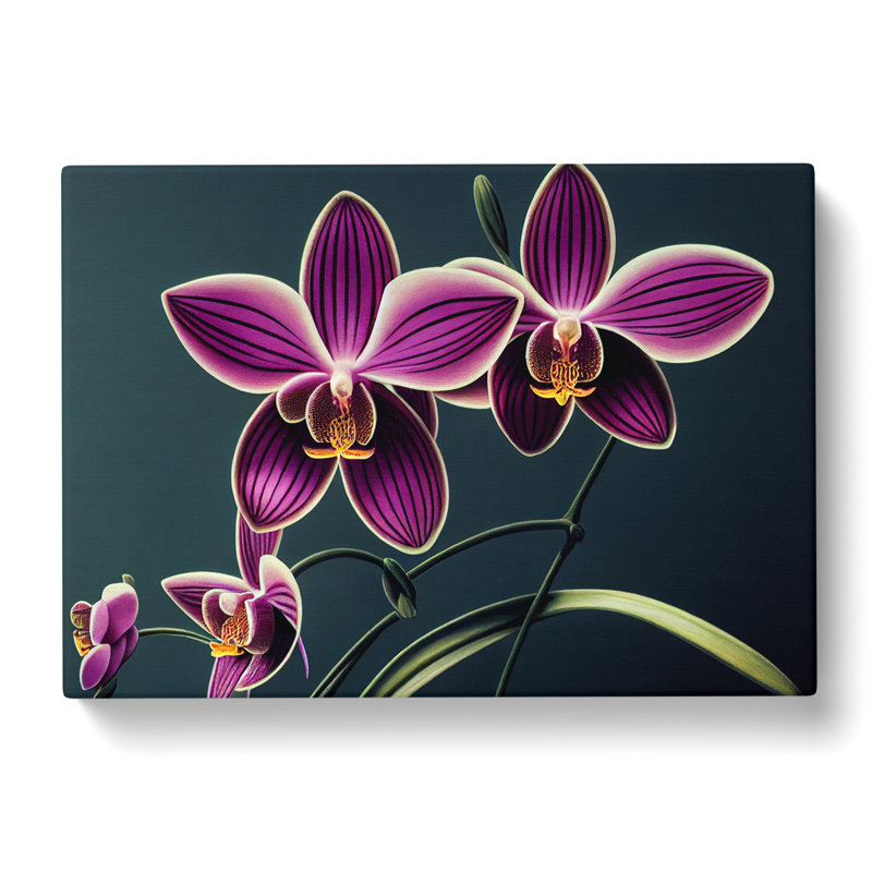 Thrilling Orchid Flowers - Wrapped Canvas, 35cm H x 50cm W x 3cm D