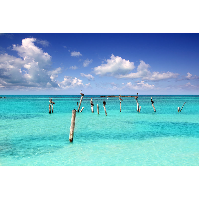 Caribbean Pelican by LUNAMARINA - Wrapped Canvas Print, 81cm H x 122cm W