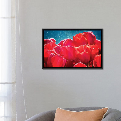 «Fuchsia Tulips II», reproduction de photo sur toile