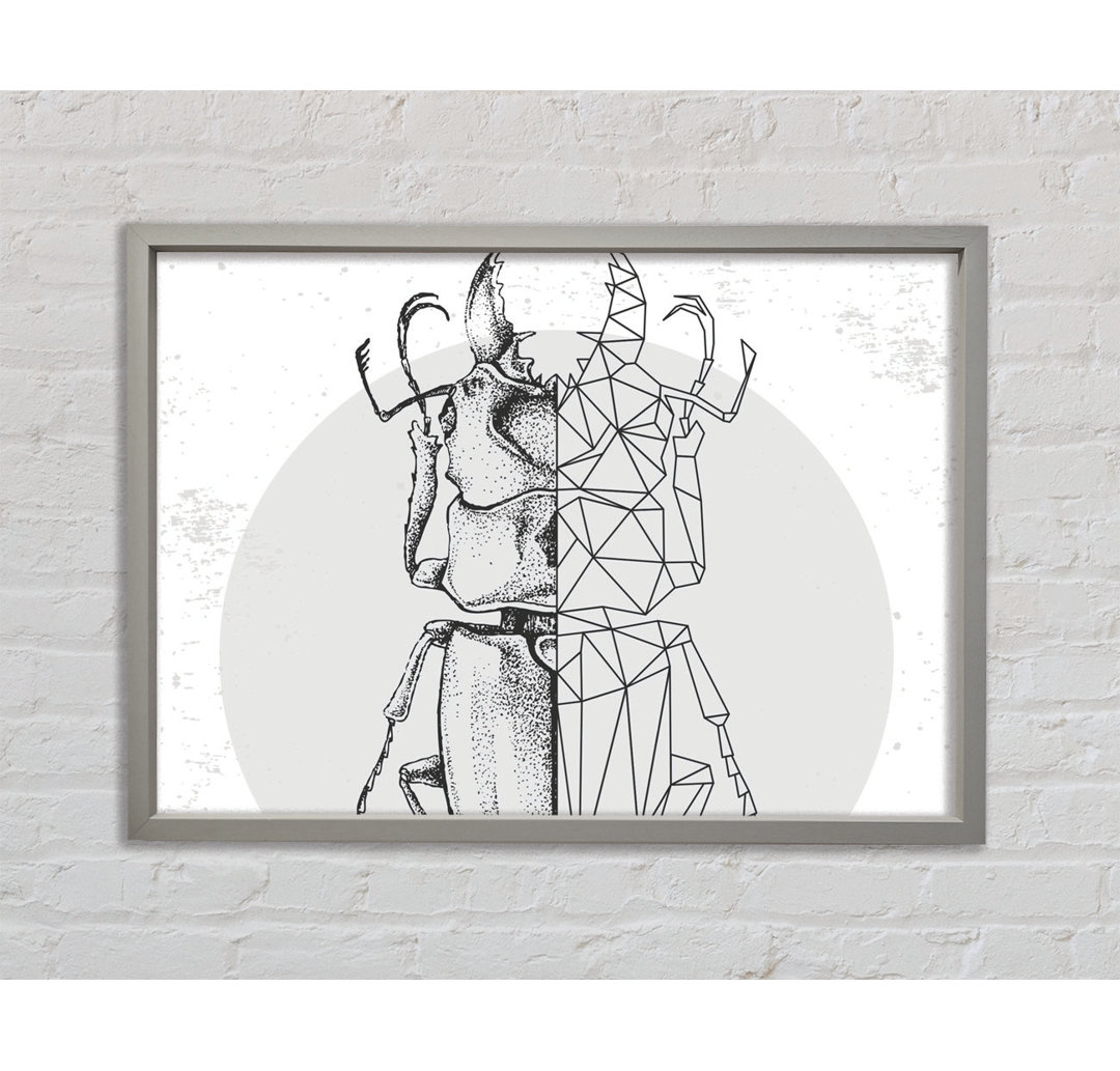 The Stag Beetle Sketch - Single Picture Frame Kunstdrucke auf Leinwand