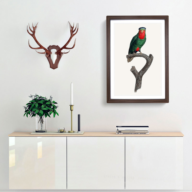 Blue Crowned Lorikeet by F. Levaillant - Picture Frame Graphic Art Print, 48cm H x 36cm W x 2cm D, Walnut Framed