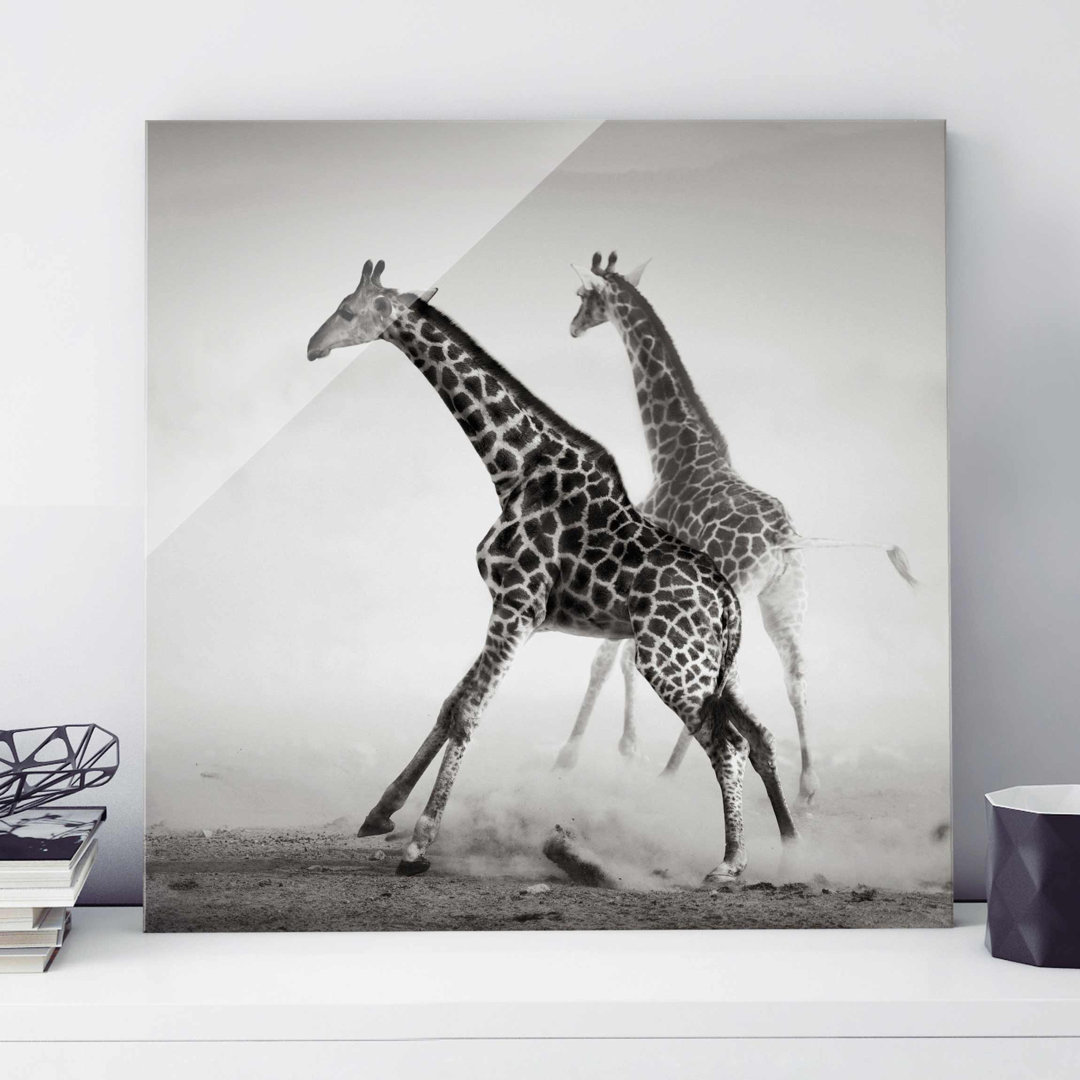 Glasbild Giraffe Hunting