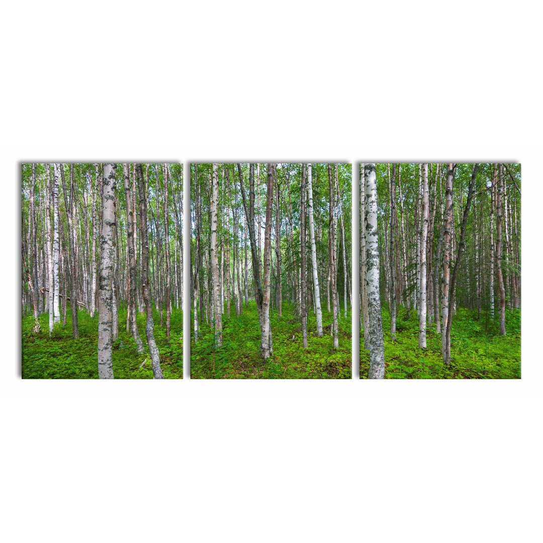 3-tlg. Leinwandbilder-Set Birch Forest