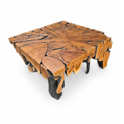 One-of-a-Kind Solid Teak Root Live Edge Coffee Table (Black/Natural)