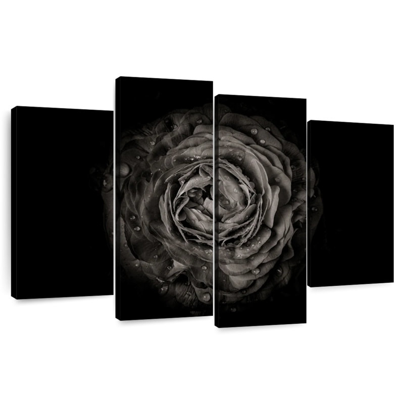 Kelan Backyard Flowers BW XII, 48" H x 75" W