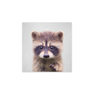 Raccoon Print On Acrylic Glass