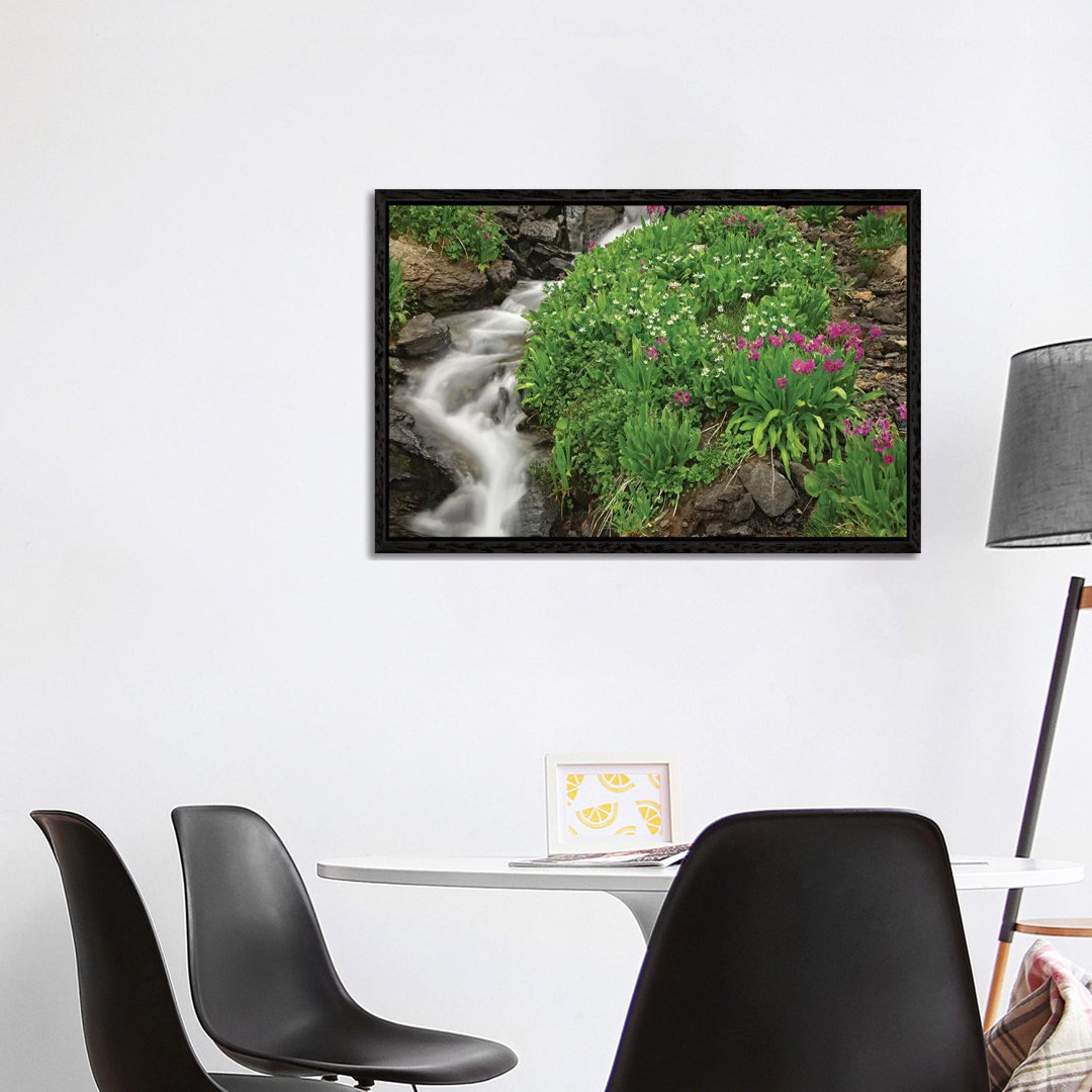 Porphyry Creek Near Silverton, Colorado II von Tim Fitzharris - Galerie-verpackte Leinwand Giclée auf Leinwand