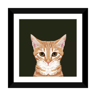 " OrangeTabby " by Pet Friendly