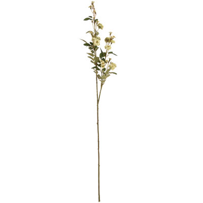 Arrangement