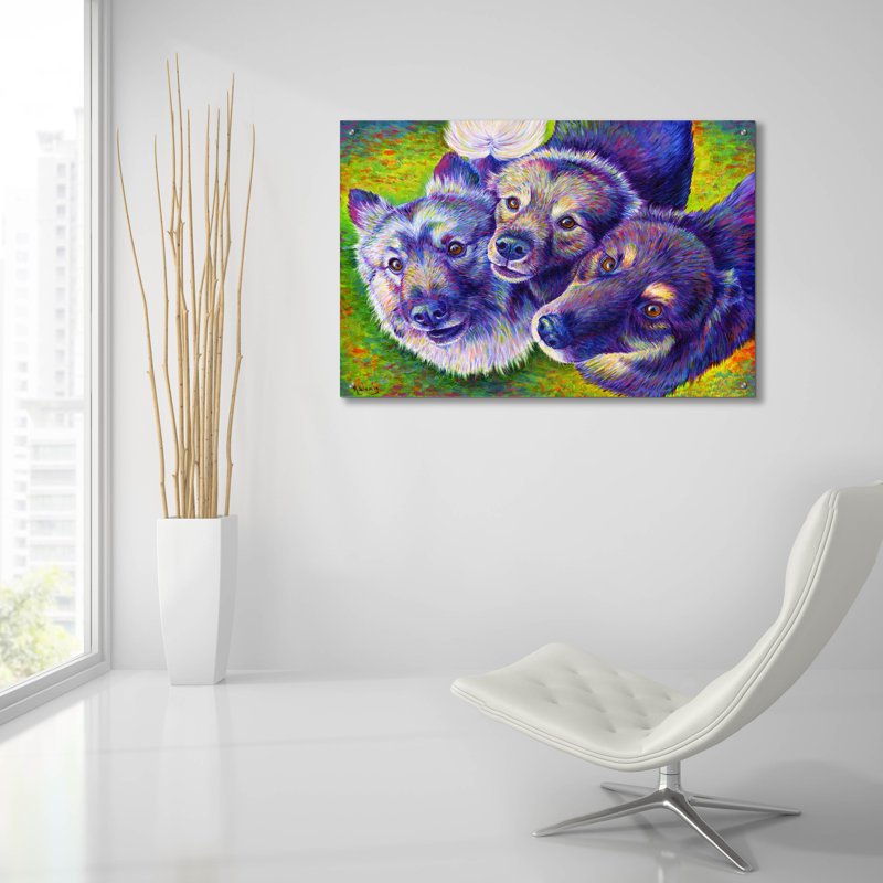 «Three Amigos» par Rebecca Wang Art, H 24 po x l 36 po x P 0,2 po