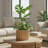 Round Strata Planter MD-1655037031-1655037029