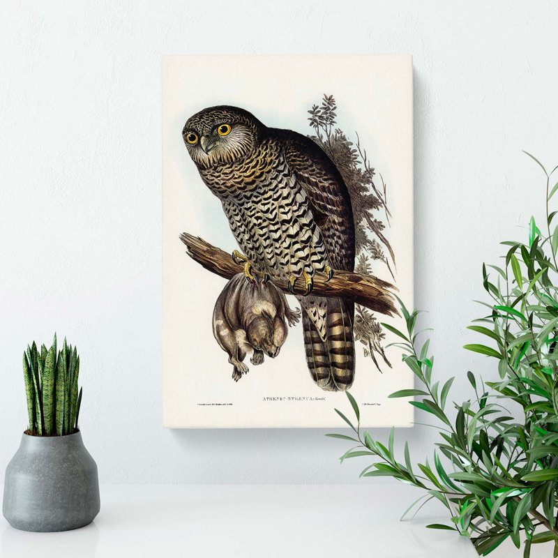 Powerful Owl by Elizabeth Gould - Wrapped Canvas, 76cm H x 50cm W x 3cm D