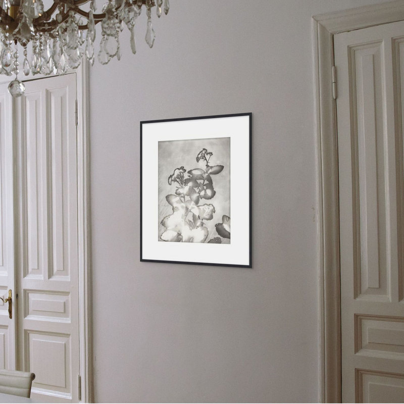 Lucent Botanicals 6 Print by Darrell Kincer, 36.5" H x 31.5" W