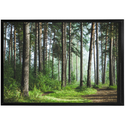 Dellroy Single Picture Frame Print