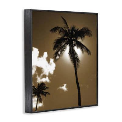 «Sunlight Through Palms», art de la giclée encadrée par Noah Bay