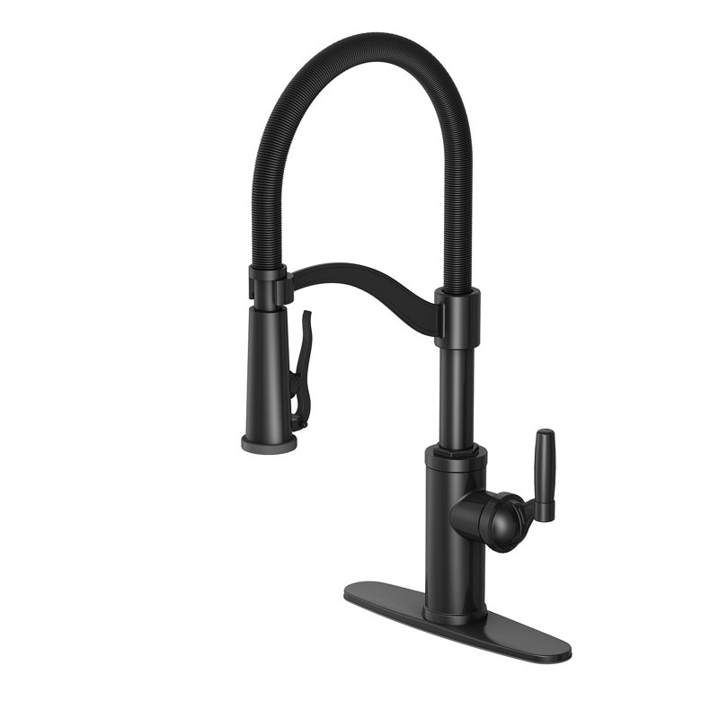 Vetta Pull Out Kitchen Faucet, Matte Black