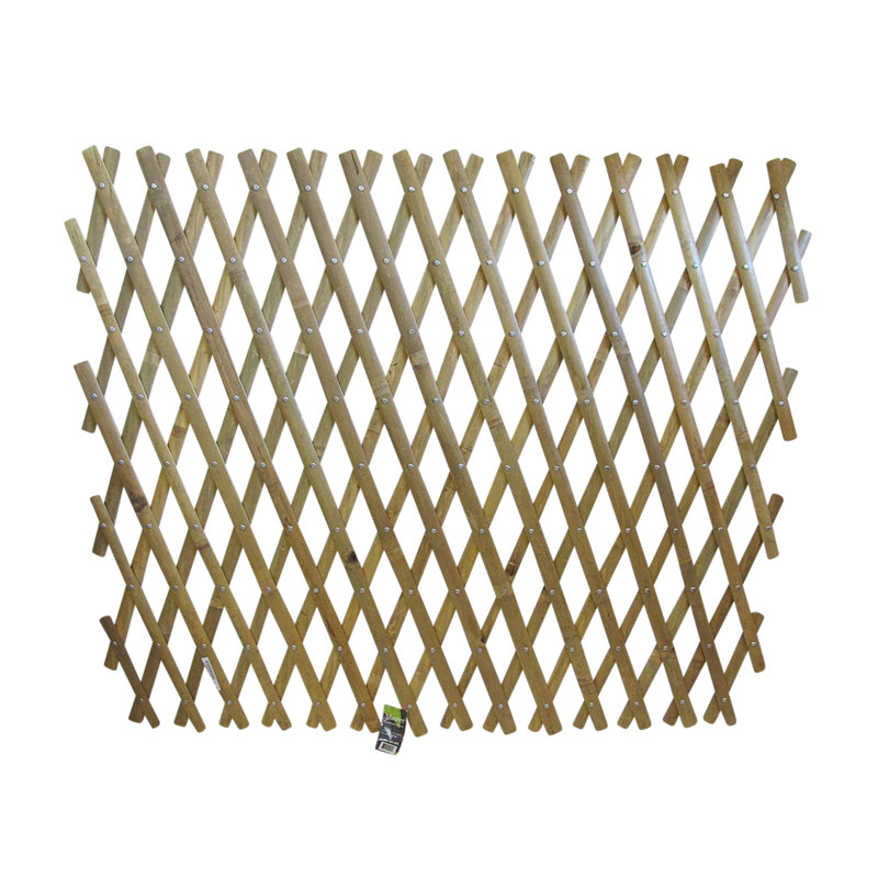 Treillage d'expansion en bois, Gris, H 36 po x l 72 po x P 1 po