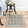 Delyse Oriental Indoor Rug