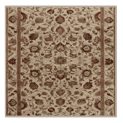 Machine Washable Persian Brown Area Rug