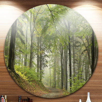 « green beach forest chemin », reproduction de photo sur métal