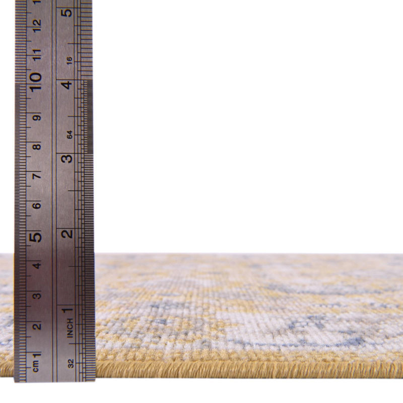 Denena Oriental Indoor Rug, Runner 2'7" x 12'