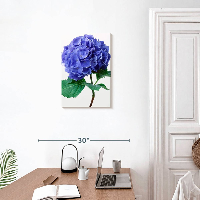 Fleurs d'hortensia bleu Harnek, H 24 po x l 16 po