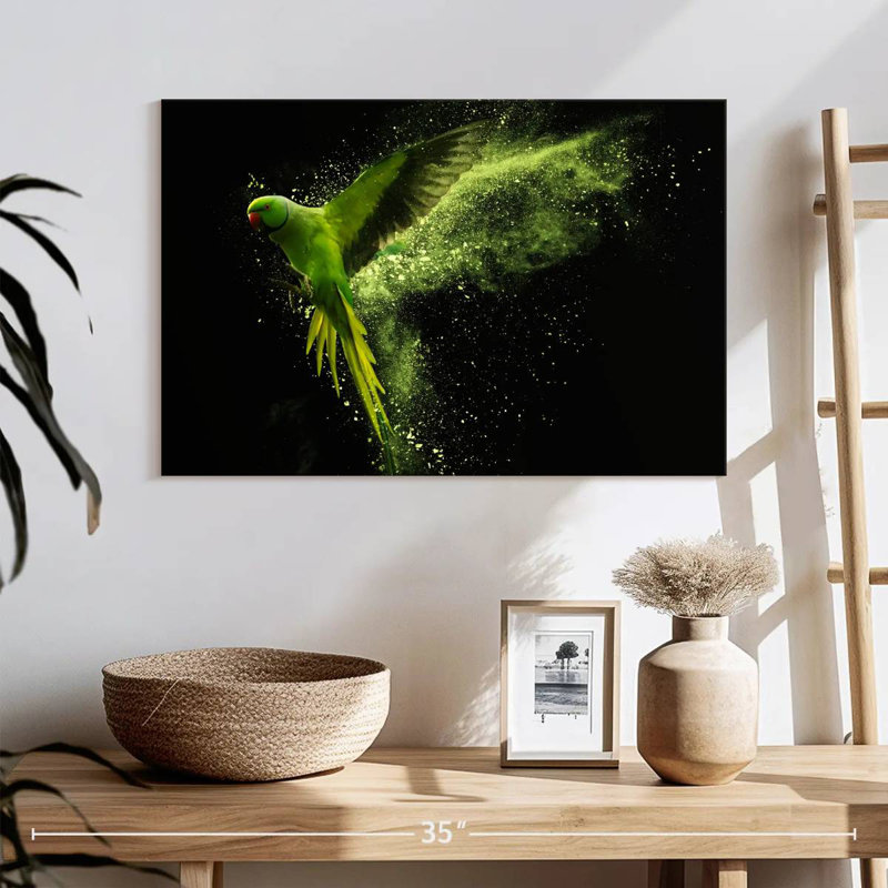 Brampt Alexandrine Parakeet, 8" H x 12" W